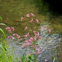 9.06.2017 �� ������� �� ��� - ��������!!!)))�