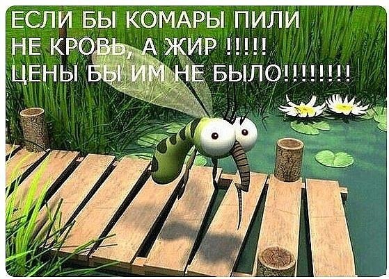 ...!!! - 4
