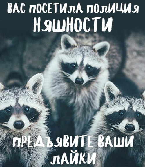    - 7  2017  21:52 - 2