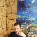 ���� ��������, ������, 41 ��� - ��������� 1 ���� 2017 � ������ ���� ����������