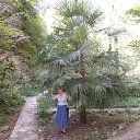 ���� �������, �������, 54 ���� - ��������� 1 ������� 2017 � ������ ���� ����������