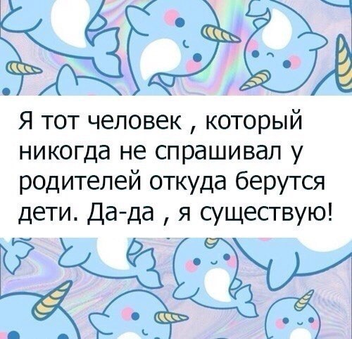  ! - 9  2017  03:04