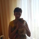 ���� ������, ������������ - ��������� 7 ������� 2017 � ������ ������