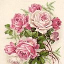 ���� ����, ������, 66 ��� - ��������� 29 ��� 2017 � ������ ���� ����������