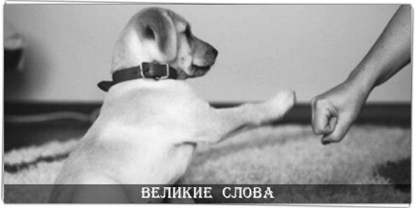 Они для нас - страница в жизни, а мы для них - и есть вся жизнь.