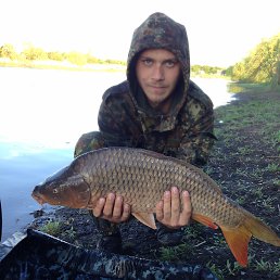 ���� ���������, ������, 33 ���� - ��������� 31 ���� 2017