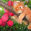 ���� �������, ������ - ��������� 24 �������� 2017 � ������ ������ ��������