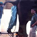 ���� ������, �����-���������, 50 ��� - ��������� 17 ���� 2017 � ������ ������ ��������