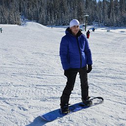 �������, ����������, 37 ���