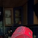 ���� ��������, ���������, 41 ��� - ��������� 26 ������� 2017 � ������ ���� ����������