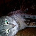 ���� ����, ��������� - ��������� 28 ������ 2017 � ������ ����� ������