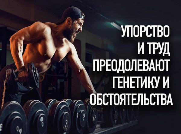  -   - 3  2017  00:10