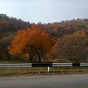 ���� ����, ������ - ��������� 16 ������ 2017 � ������ ���� �����