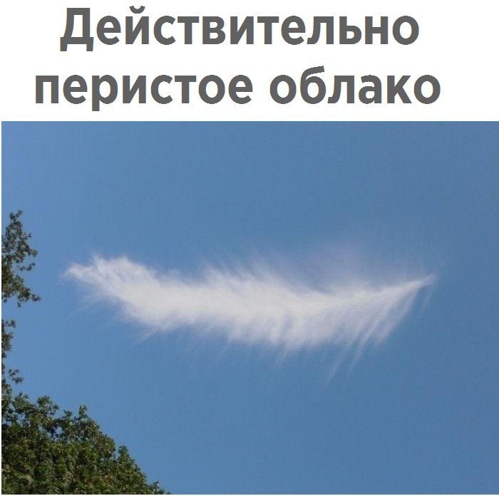  - 17  2017  06:00