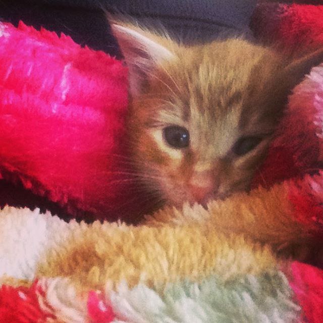 #_. , 2            300 ...