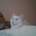 ���� �������, ������, 76 ��� - ��������� 25 ������ 2017 � ������ ���� ����������