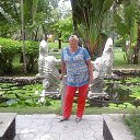 ���� �������, ��������, 74 ���� - ��������� 2 ��� 2017 � ������ ������ ��������