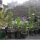 ���� Hamid, ����, 73 ���� - ��������� 4 ���� 2017 � ������ ������ ��������