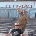 ���� ����, �����������, 57 ��� - ��������� 9 �������� 2017 � ������ ���� �����