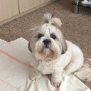 ���� �����, ��������, 58 ��� - ��������� 1 ������ 2017