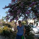 ���� �������, �������, 54 ���� - ��������� 1 ������� 2017 � ������ ���� ����������