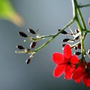 ���� ������, ���� - ��������� 20 ��� 2017 � ������ ���� ����������