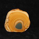 ���� ������, �����-��������� - ��������� 25 ������ 2017 � ������ �����������