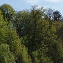 ���� ���, ������ - ��������� 2 ���� 2017 � ������ �������� 2017�