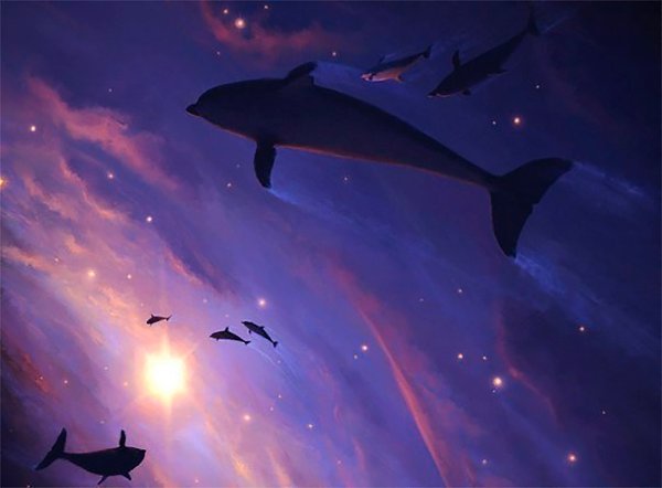 — Ну хорошо! Если дельфины такие умные, как вы говорите, то почему они не построили свою ...