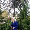 ���� ������, ����������� - ��������� 15 ������ 2017 � ������ ���� ����������