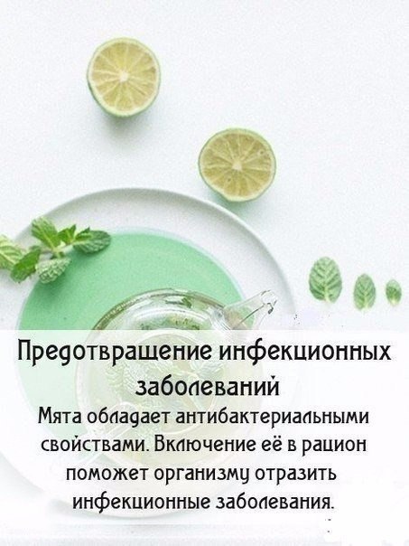 -:  .#_@bon#@bon - 2