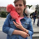 ���� ���, �����, 39 ��� - ��������� 14 ������� 2017 � ������ ���� ����������