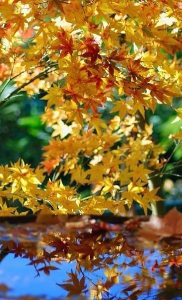  ! - 2  2017  17:12 - 4