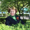 ���� ���������, ������ ����� - ��������� 10 ��� 2017 � ������ ���� ����������