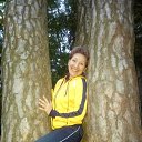 ���� ���������, ������, 53 ���� - ��������� 10 ���� 2017 � ������ ���� ����������