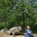 ���� �����, �����-���������, 43 ���� - ��������� 17 ���� 2017 � ������ ���� ����������