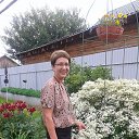 ���� ����, ������������, 67 ��� - ��������� 5 ������� 2017 � ������ ���� ����������