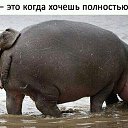 ���� ������..�))), ��������, 50 ��� - ��������� 27 ���� 2017 � ������ ���� ����������