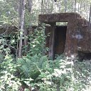 ���� �������, �����-���������, 42 ���� - ��������� 13 ������ 2017 � ������ ���� ����������