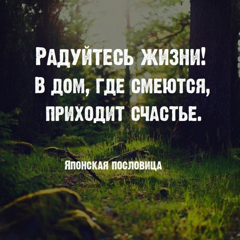  | ,  - 9  2017  06:41