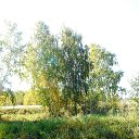 ���� Gulsara, ��������� - ��������� 22 ������� 2017