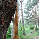 ���� �����, �����-��������� - ��������� 22 ������� 2017 � ������ ������ ��������