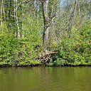 ���� ���, ������ - ��������� 2 ���� 2017 � ������ �������� 2017�