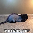���� ������, ������ - ��������� 22 ������� 2017 � ������ ������ ��������
