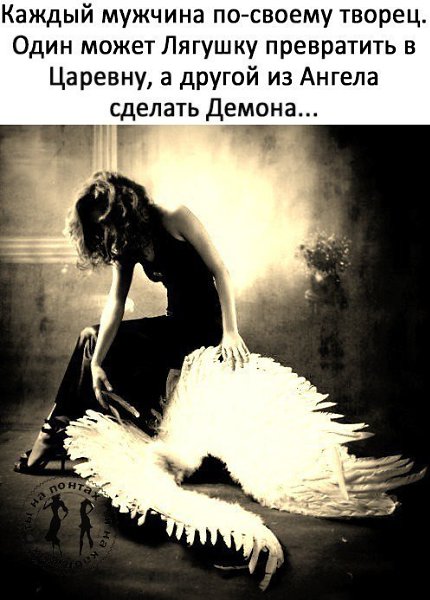   ,   .© - 16  2017  17:32