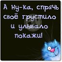 ���� �������, ������������, 53 ���� - ��������� 6 ���� 2017 � ������ ���� ����������