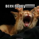 ���� �����, �����, 37 ��� - ��������� 12 ������ 2017 � ������ ���� ����������