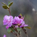 ���������. �� ������� ���� ����������