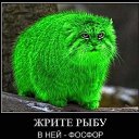 ���� ������������, ����� - ��������� 5 ������� 2017 � ������ ���� ����������