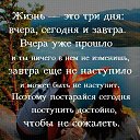 ���� ������, ������������, 52 ���� - ��������� 29 ���� 2017 � ������ ���� ����������